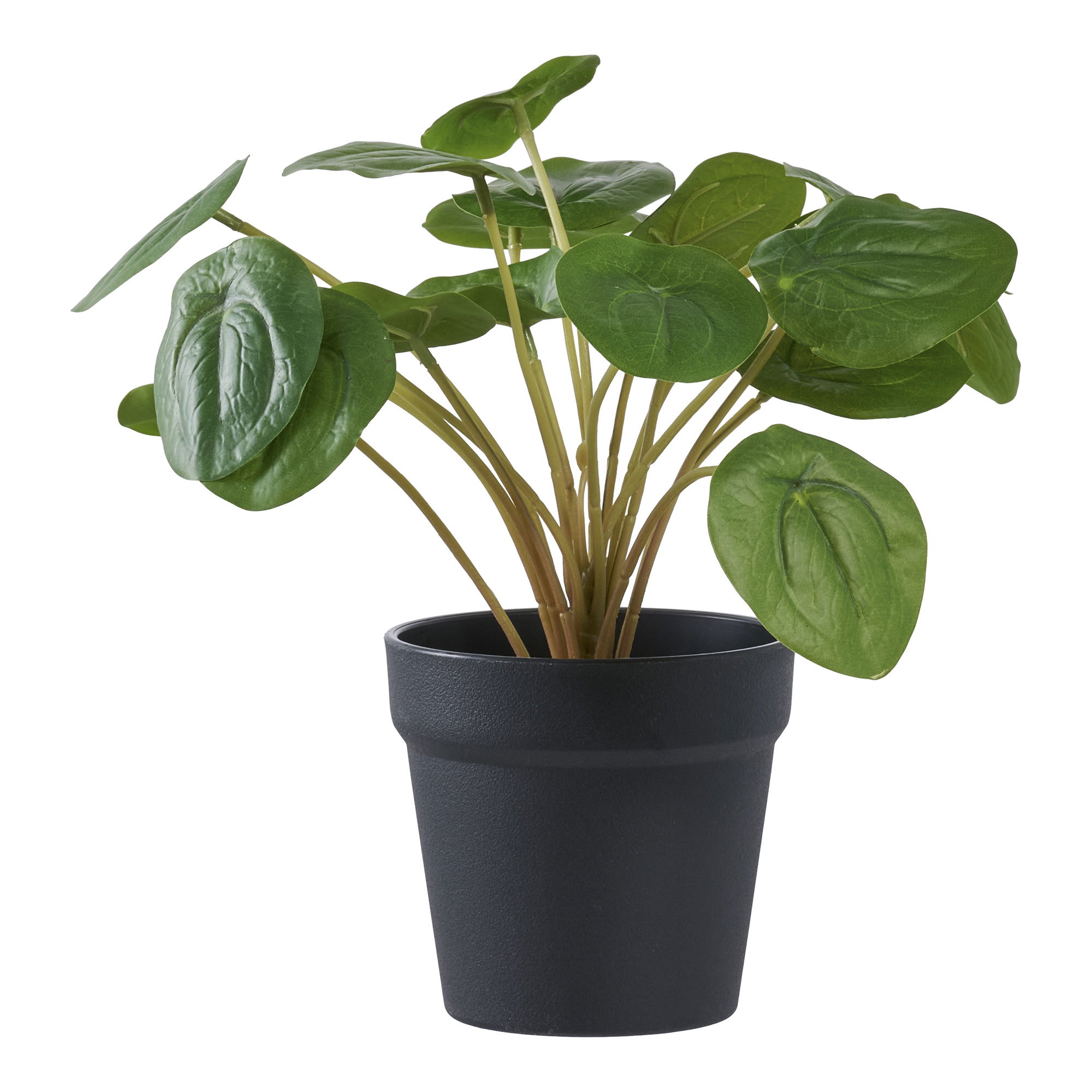 House Nordic Kunstig plante, grøn, H:28 cm
